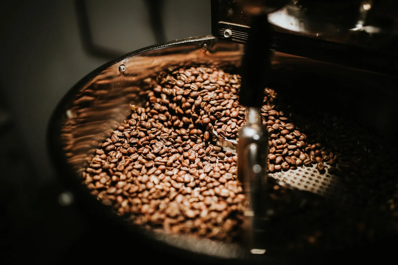 Granos de café en reposo